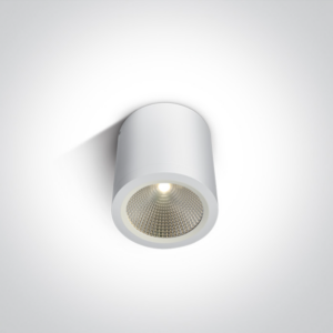 Stropna/nadgradna svjetiljka COB LED 10W IP54 100-240V ONE LIGHT